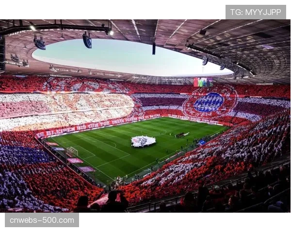 特写：多特蒙德南看台的巨型Tifo：纪念俱乐部成立117周年